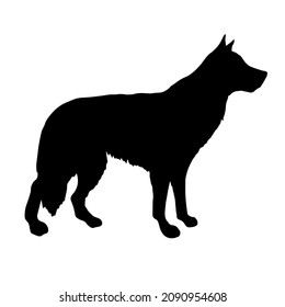 Vector hand drawn shepherd dog silhouette isolated on white background