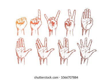 Vector hand drawn Hand signs concept sketch. Set of human palms with different gestures meaning different signs.