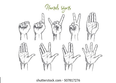 Vector hand drawn Hand signs concept sketch. Set of human palms with different gestures meaning different signs. Lettering Hands signs