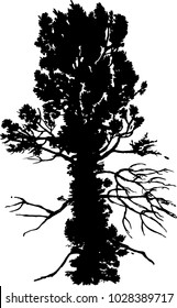 Vector hand drawn silhouette of ash tree.