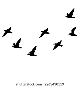 Vector hand drawn silhouette of birds flying in flock isolated on white background