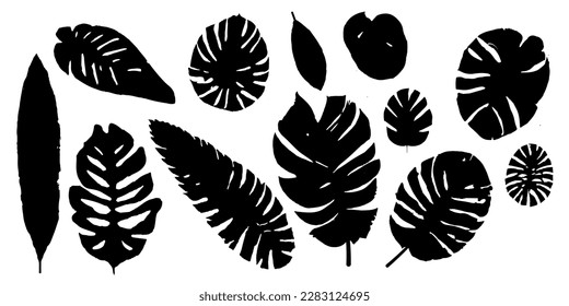 vector hand drawn silhouette collection of tropical leaves