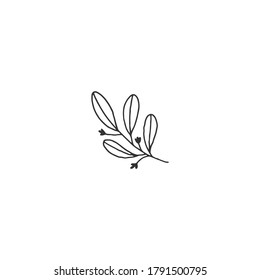 Vector hand drawn simple floral icon. A branch with leaves. Isolated object. For logo designs, for branding and business identity.