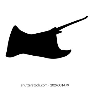 Vector hand drawn skate fish devil fish silhouette isolated on white background