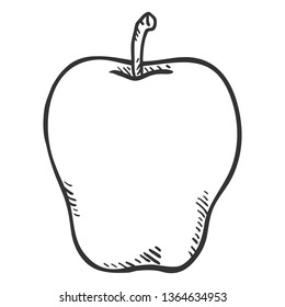 Vector Hand Drawn Sketch Apple
