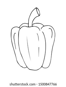 Vector hand drawn sketch bell pepper isolated on white background