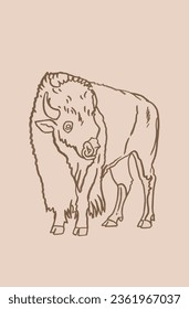 Vector hand drawn sketch of  bison on sepia background,graphical illustration. Bull