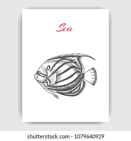 Vector hand drawn sketch Card with aquarium fish.