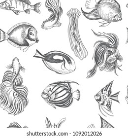 Vector hand drawn sketch Card with aquarium fish. Discus, Scalaria, Zanclidae, Paracanthurus hepatus