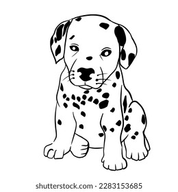 handgezeichnete Vektorgrafik eines dalmatinischen Welpen, Line Art