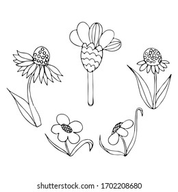 Vektorillustration handgezeichnete Skizze mit dekorativen Blumen für Kinderfarbenbücher, schwarze Kontur-Zeichnung einzeln auf weißem Hintergrund, für Dekorationsschrapbook, Grußkarte, Illustration. Satz von 5 Ellamen