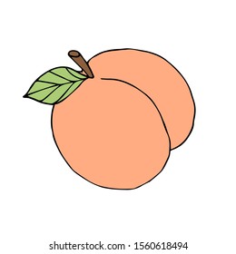 Vector hand drawn sketch doodle colored peach isolated on white background