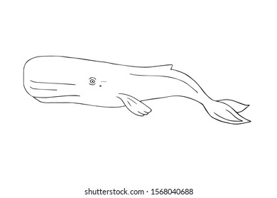 Vector hand drawn sketch doodle cachalot sperm whale isolated on white background 