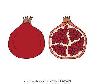 Esbozo dibujado a mano del vector doodle pomegranato aislado en fondo blanco
