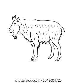 Vector hand drawn sketch doodle outline wild goat isolated on white background