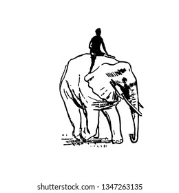 Vector hand drawn sketch of elephant black on white background