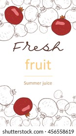 Vector hand drawn sketch of fruit banner, poster, print. Eco products. Garnet