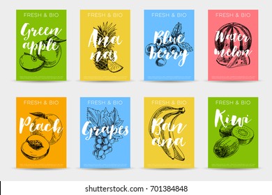 Vector hand drawn sketch fruits posters set. Eco foods. Colorful illustration