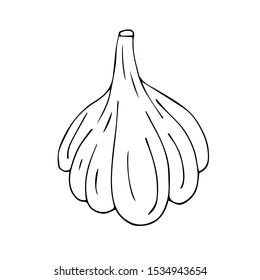 Vector hand drawn sketch garlic isolated on white background