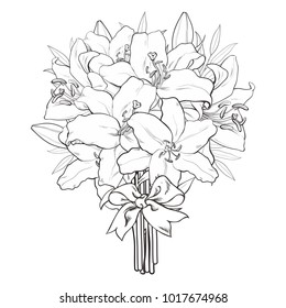 Vector hand drawn sketch illustration of monochrome bouquet white tulips flower with closed opened blossom leaves . Floral natural decoration background, backdrop element fabric textile design
