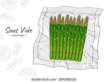 Vector hand drawn sketch illustration of asparagus bunch. Sous-Vide Slow Cooking Technology.