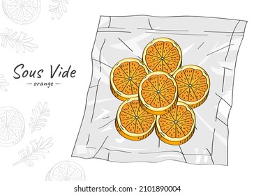 Vector hand drawn sketch illustration of orange slices. Sous-Vide Slow Cooking Technology.