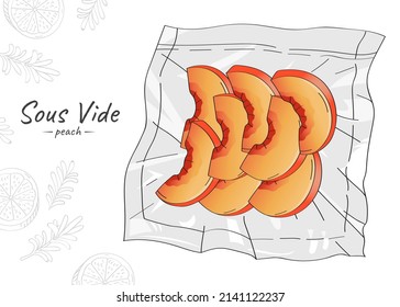 Vector hand drawn sketch illustration of peach slices. Sous-Vide Slow Cooking Technology.