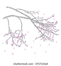 Vector hand drawn sketch illustration of tree's branch in spring. Pink flowers. 