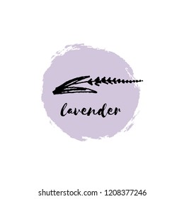 Vector hand drawn sketch of lavender branch. Element for design labels, logo, packages, textile and other