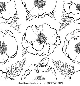 Vector hand drawn sketch monochrome illustration of red poppy flowers with opened blossoms, leaves seamless pattern. Floral natural decoration background, backdrop element for fabric, textile design.