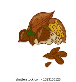 vector hand drawn sketch of nuts set isolated on white. food, catering, healthy lifestyle themes.