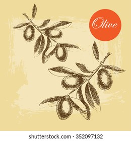 vector hand drawn sketch olive branch on vintage background. detailed mediterranean food illustration