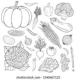 Vector hand drawn sketch outline set bundle of vegetables isolated on white background