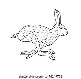 Vector hand drawn sketch running hare isolated on white background