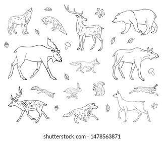 Vector hand drawn sketch set collection of forest animals isolated on white background