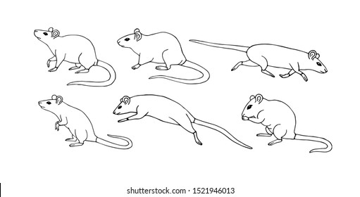 Vector hand drawn sketch set bundle of rat mouse isolated on white background