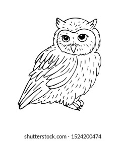 Vector hand drawn sketch sitting owl isolated on white background