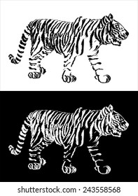 vector of hand drawn sketch of stalking tiger in black and white 