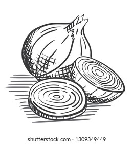Vector Hand drawn sketch style onion. Eco food vector illustration poster - Vector illustration