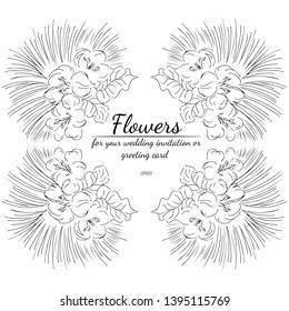 Vector hand drawn sketch with tropical leaves and flowers isolated on white background. Exotic botanical design elements for wedding invitation cards, cosmetics, spa, perfume, beauty salon. Line art.