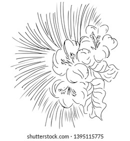 Vector hand drawn sketch with tropical leaves and flowers isolated on white background. Exotic botanical design elements for wedding invitation cards, cosmetics, spa, perfume, beauty salon. Line art.