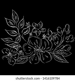 Vector hand drawn sketch with tropical leaves and flowers isolated on black background. Exotic botanical design elements for wedding invitation cards, cosmetics, spa, perfume, beauty salon. Outline.