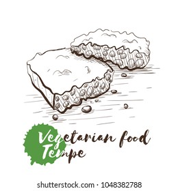 Vector hand drawn sketch of vegetarian food with food name. Eco food. Monochrome Tempe isolated on white sketch.