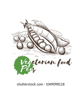 Vector hand drawn sketch of vegetarian food with food name. Eco food. Monochrome Peas isolated on white sketch.