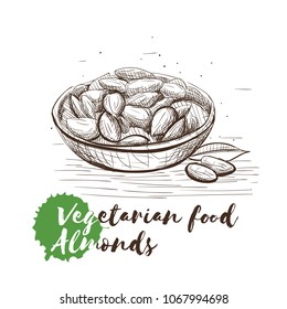 Vector hand drawn sketch of vegetarian food with food name. Eco food. Monochrome Almond isolated on white sketch.