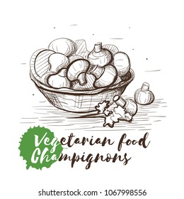 Vector hand drawn sketch of vegetarian food with food name. Eco food. Monochrome Champignon isolated on white sketch.