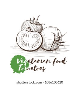 Vector hand drawn sketch of vegetarian food with food name. Eco food. Monochrome Tomatoes isolated on white sketch.