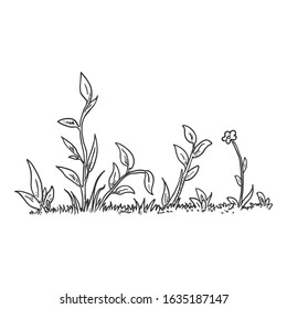 Vector Hand Drawn Sketch Wild Growth Grass