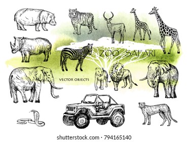 Vector hand drawn sketched animal set. Zoo safari: elephant, zebra, lion, rhino, giraffe , hippo, snake, leopard, tiger, antelope and open safari car. Pen style vector.