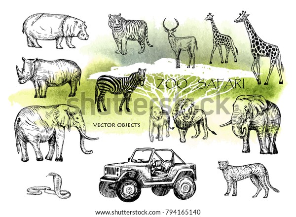 Vector hand drawn sketched\
animal set. Zoo safari: elephant, zebra, lion, rhino, giraffe ,\
hippo, snake, leopard, tiger, antelope and open safari car. Pen\
style vector.
